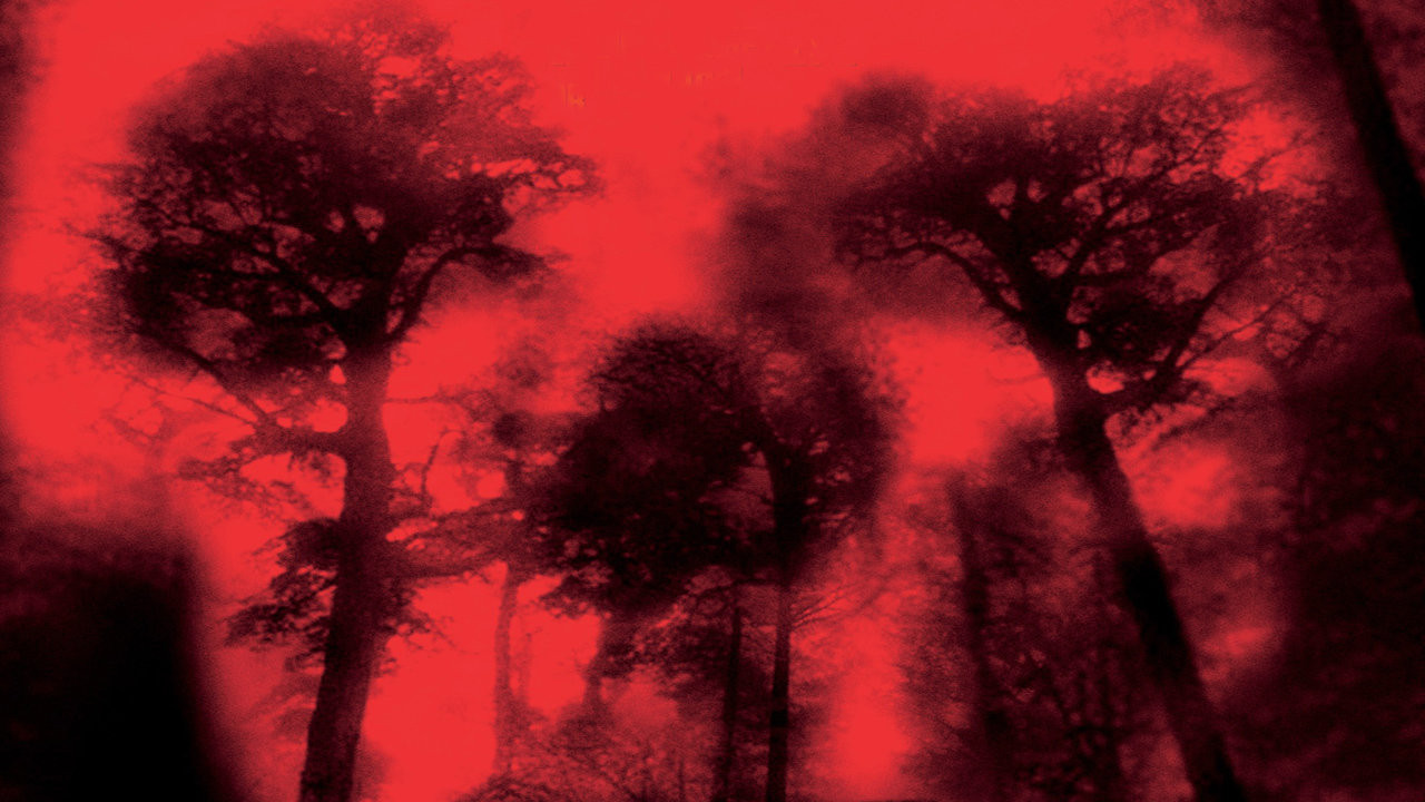 Cabin Fever Collection background